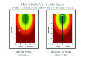 CLA Insight Scan: Heart Rate Variability, Adaptability